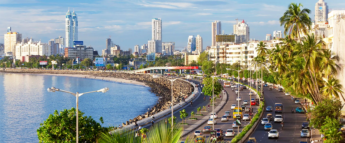 Real Estate Investment